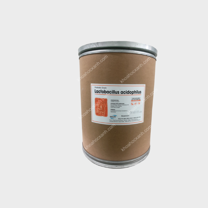 Lactobacillus acidophilus